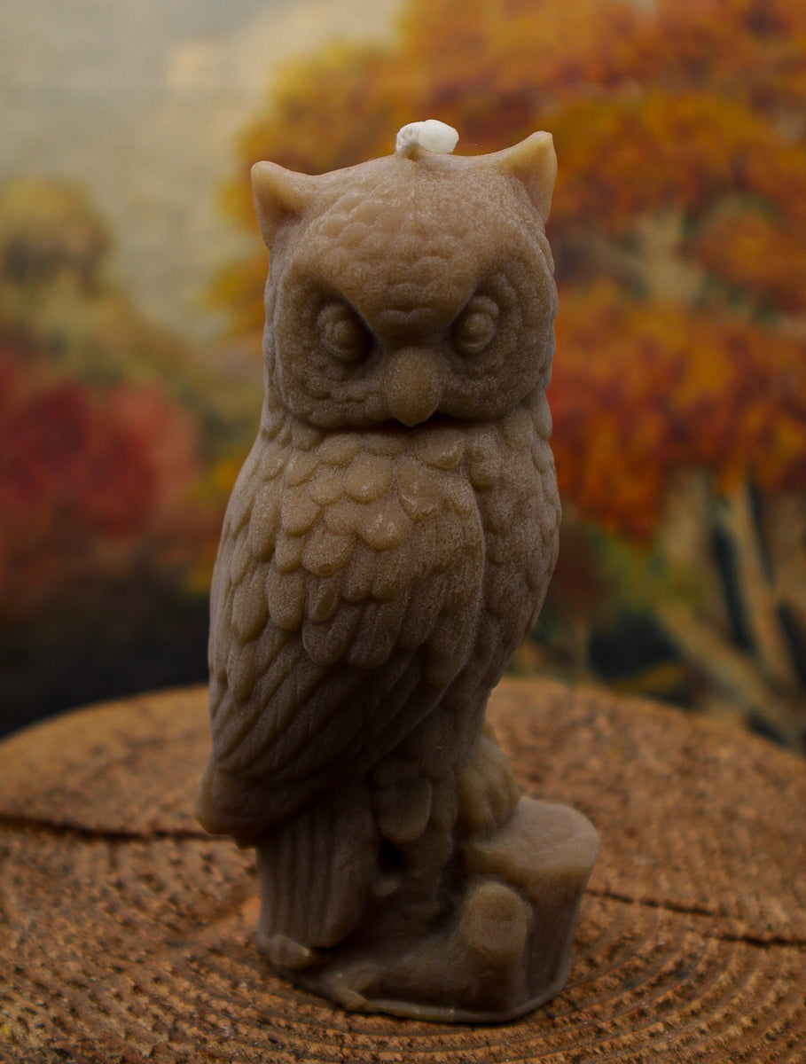 Chainsaw online carved Owl /Wise owl