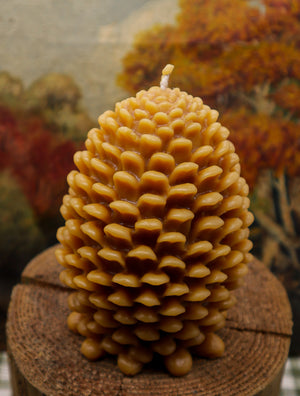 Open image in slideshow, Yosemite Pinecone
