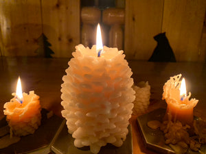 Yosemite Pinecone